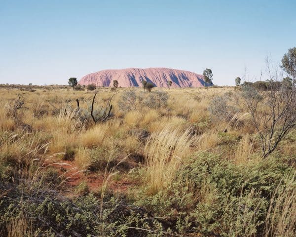 Uluru Print photographed on Kodak Portra 400 film